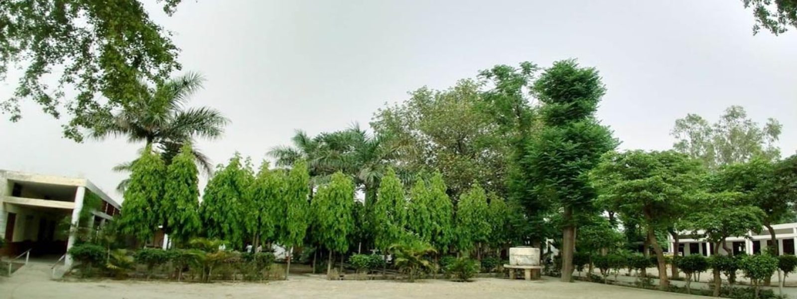 GHS Aminwala Campus