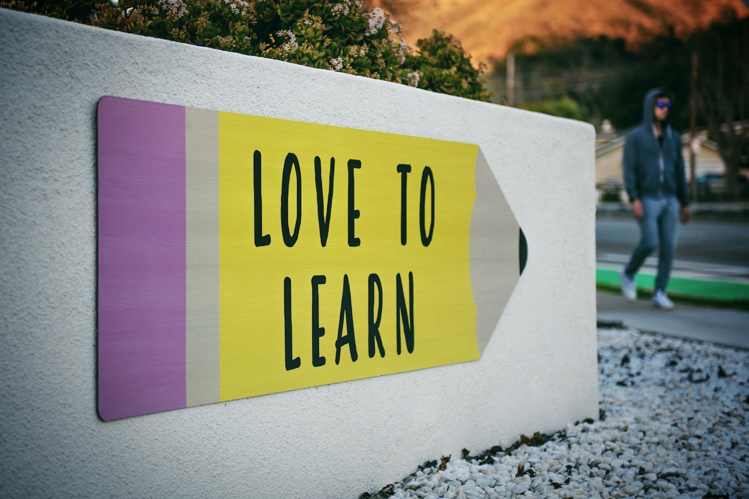 A Closer Look at Holistic Development Programs